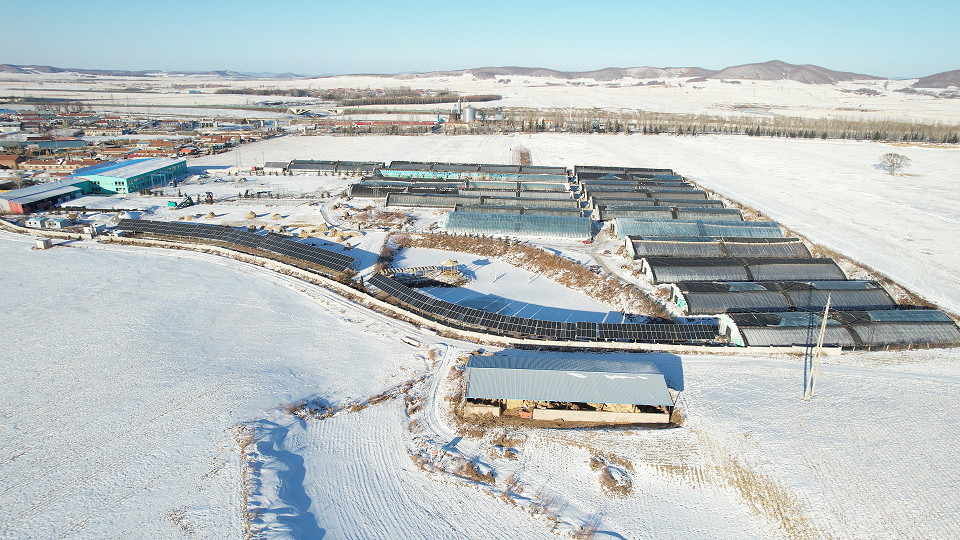 七年風(fēng)雪——記一座古瑞瓦特七年老光伏電站