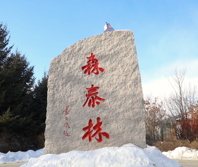 古瑞瓦特助力森泰木業(yè)實(shí)現(xiàn)零碳綠色未來(lái)